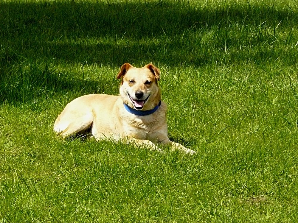 Photograph by Светлана Михайлова