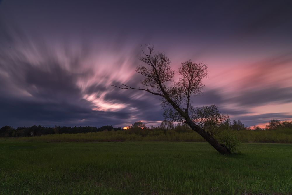 Photograph by 