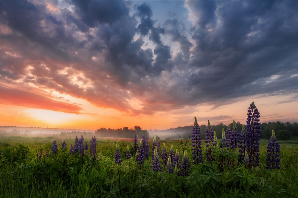 Photograph by Евгений Ерохин