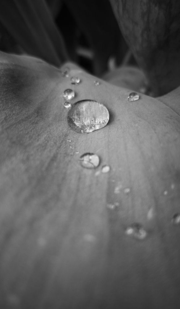 Photograph by Алексей Крукович