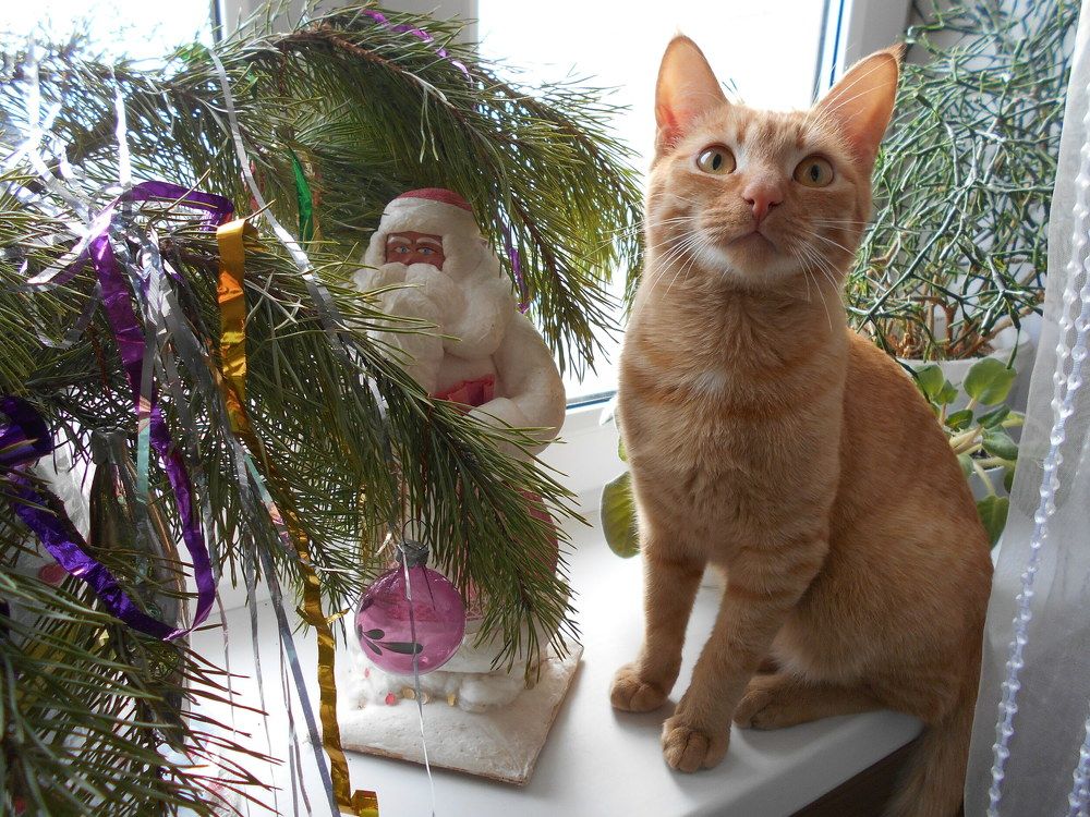 Photo #6075970