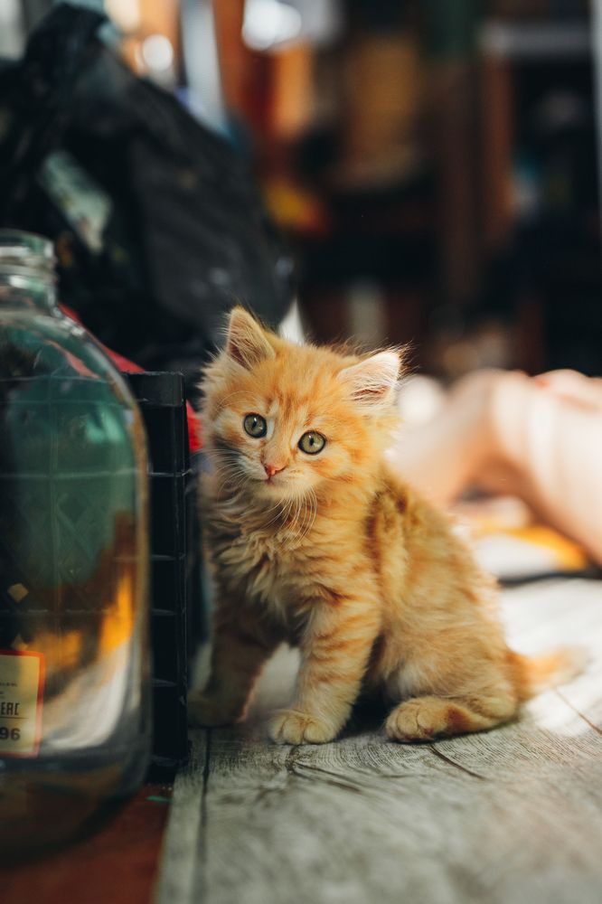 Photograph by Яна