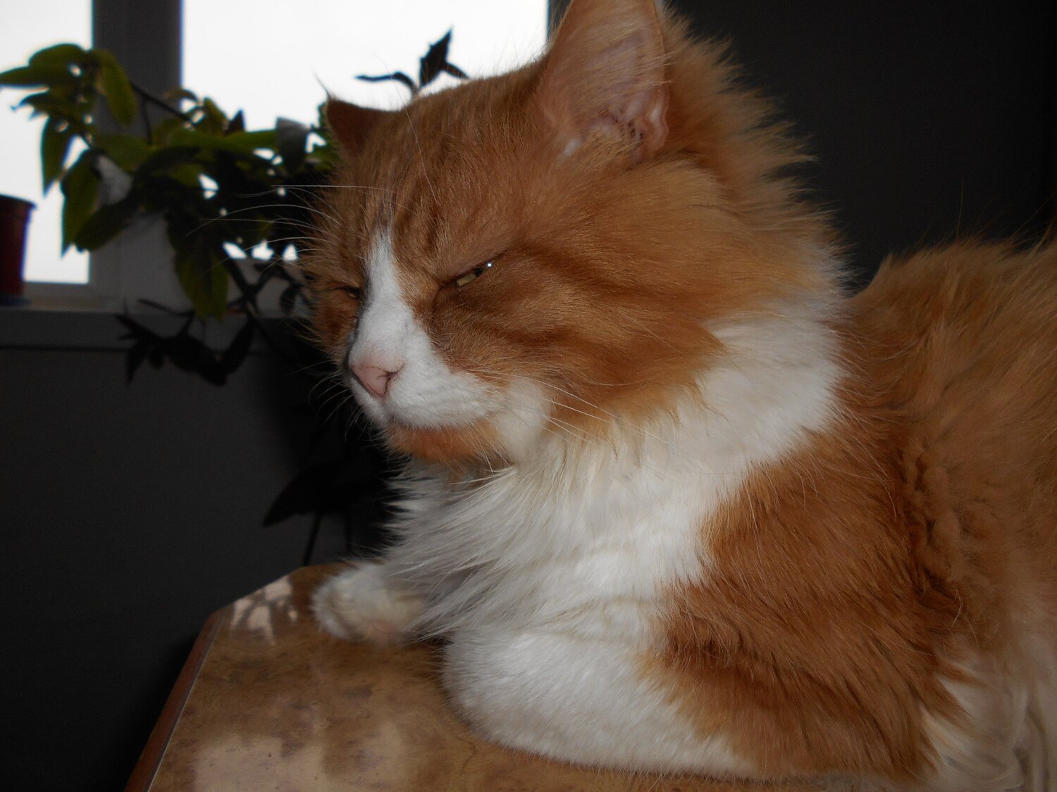Photo #6075977