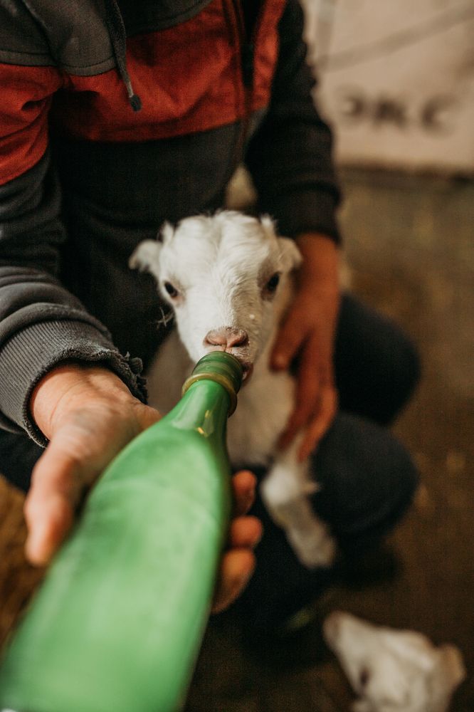 Photograph by Яна