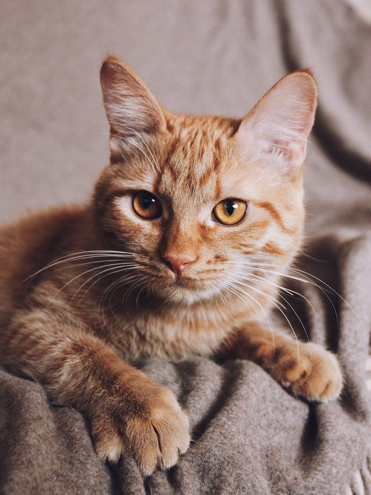 Фотография автора Мария Жукова