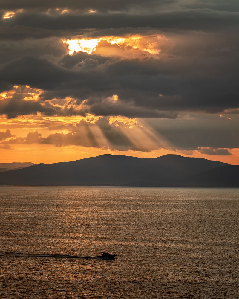 Фотография автора Анна Олещук