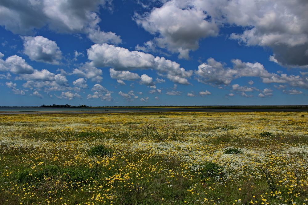 Photograph by Galina Tsmyg