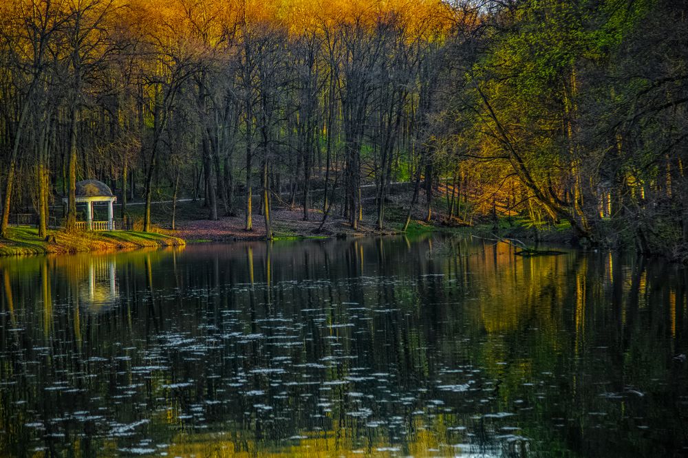 Photograph by Sodomelle Flavian