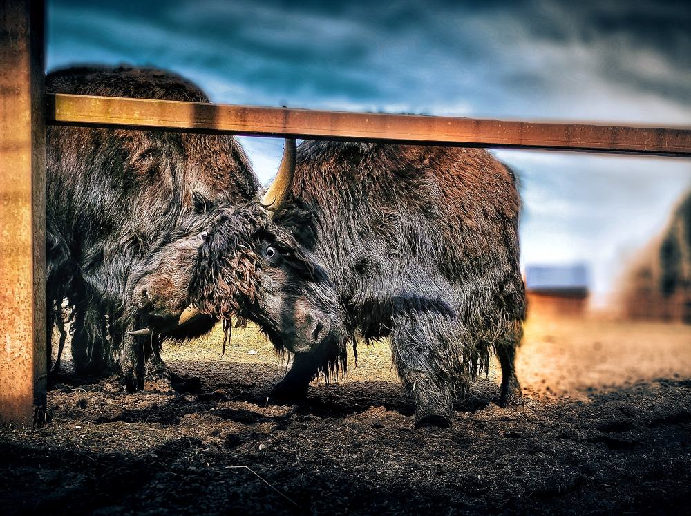 Photograph by Сергей Сократ