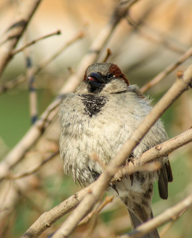 Photograph by Татьяна Холодная