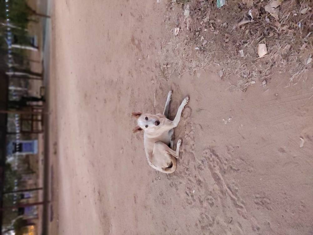 Photograph by Diwakaran D