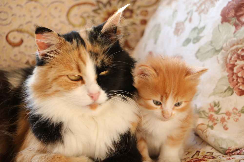 Photograph by Cengiz Yalcin