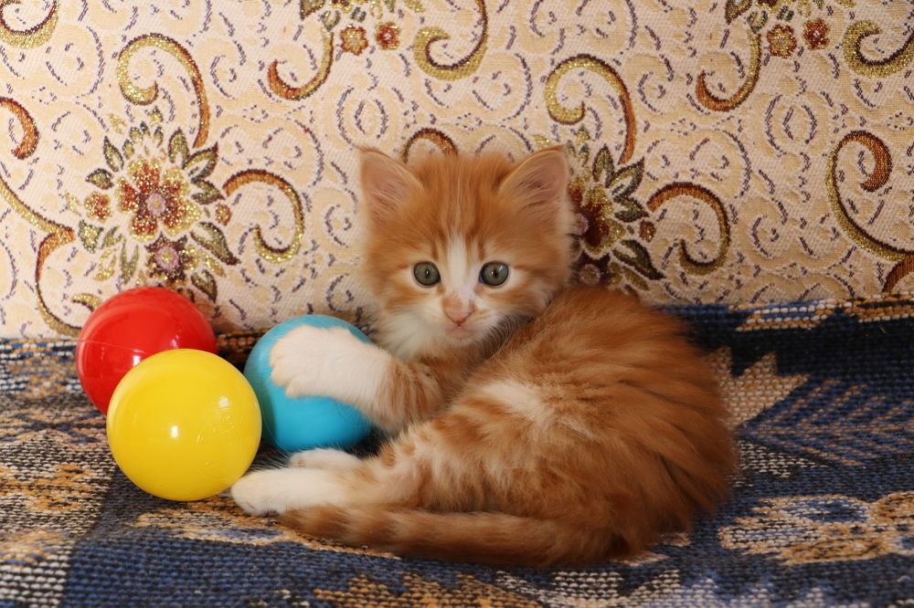 Photograph by Cengiz Yalcin