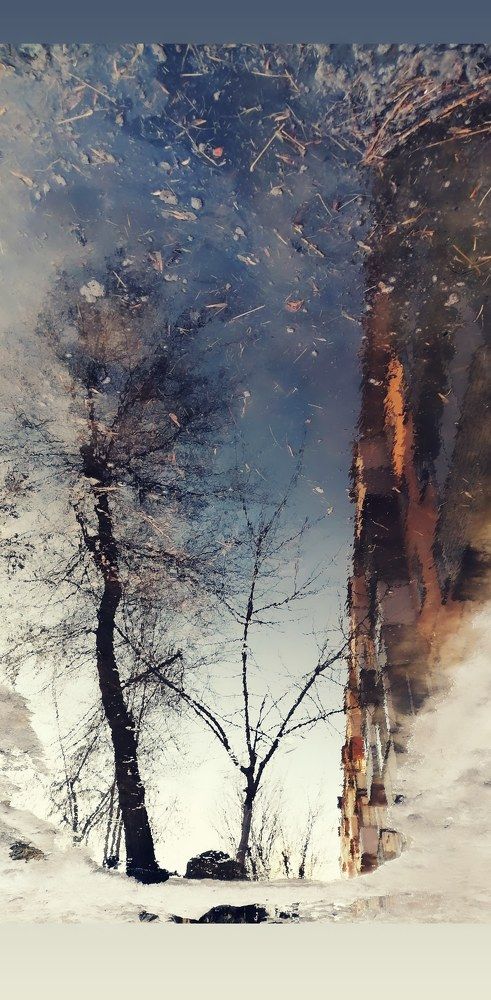 Photograph by Юлия Гагарина