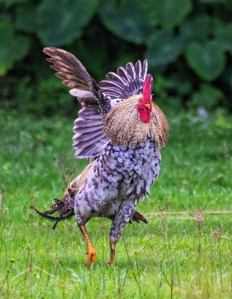 Photograph by Sumanta Dutta