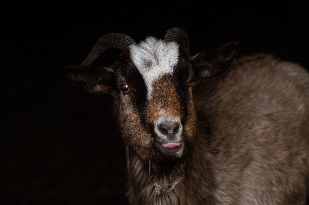 Photograph by Анастасия Пельменёва