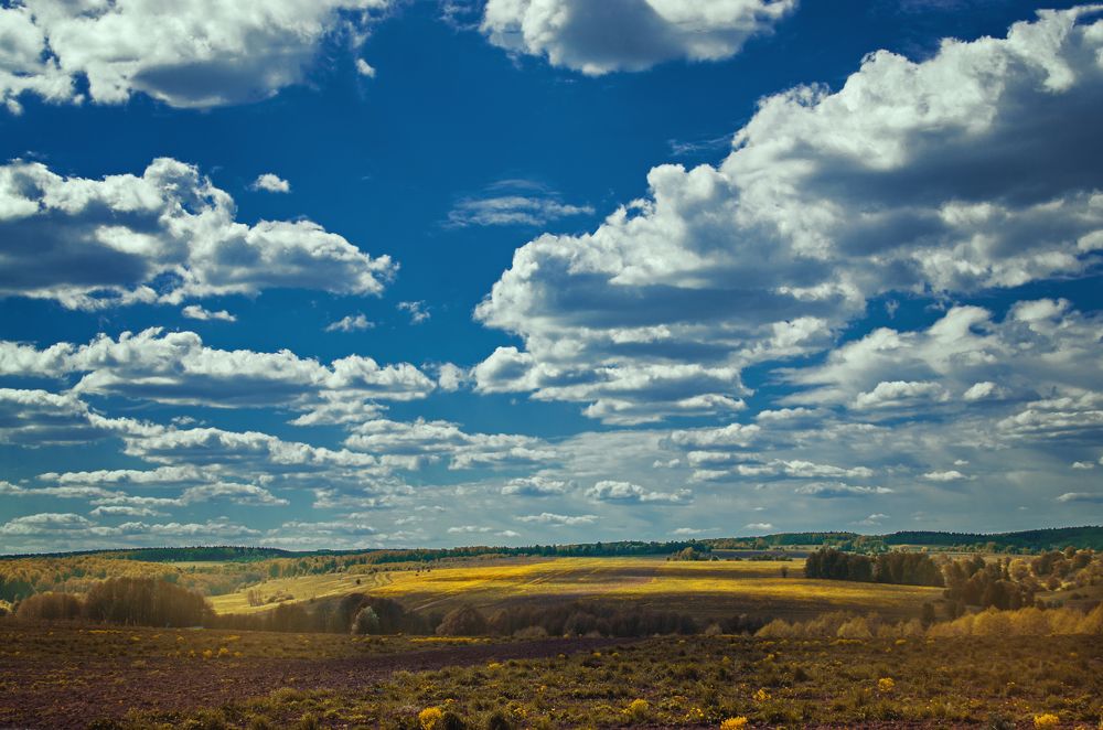 Photograph by Наталья Золотарева