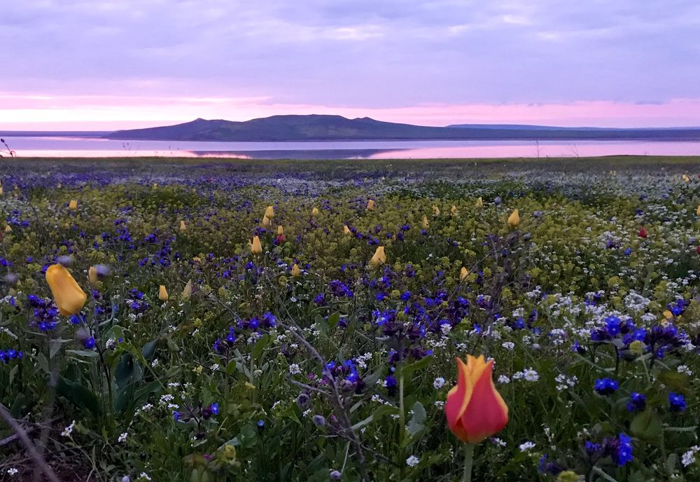 Photograph by Чин Нина