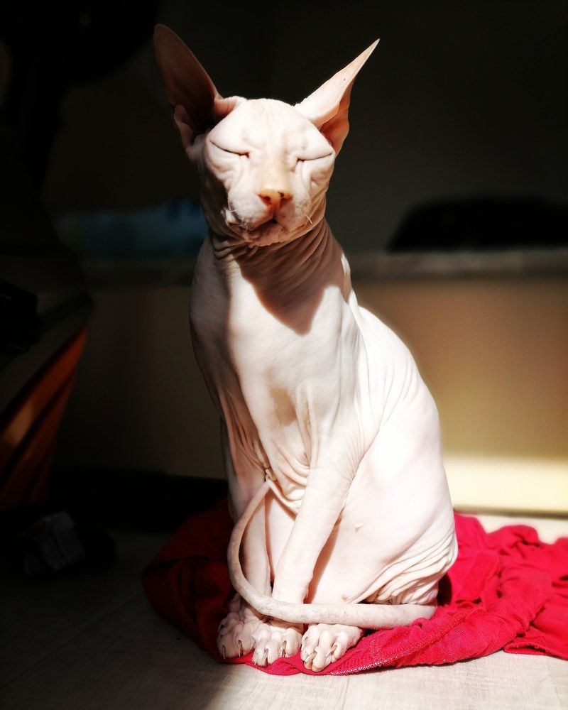 Photograph by Юлия Гагарина