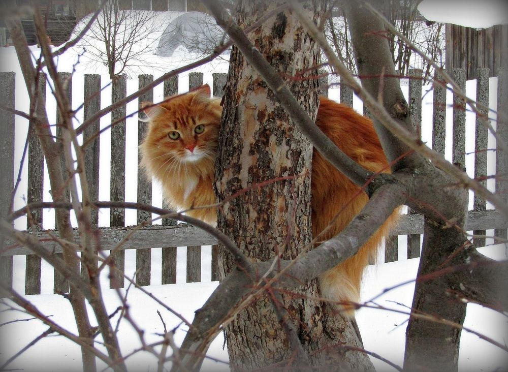 Photograph by Владимир Перминов