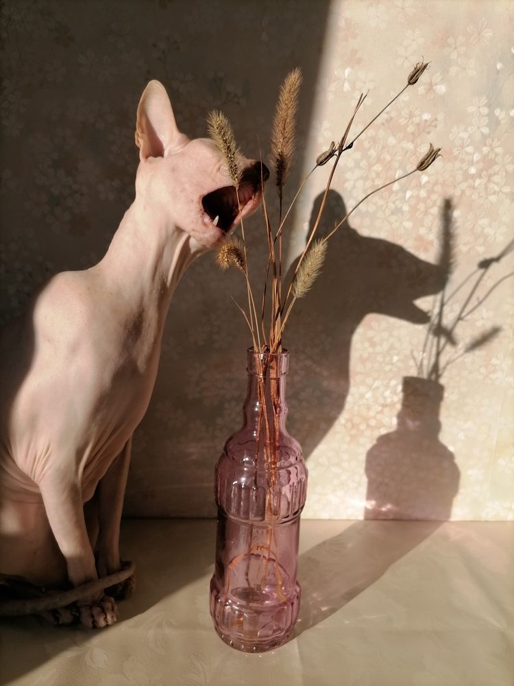 Photograph by Юлия Гагарина