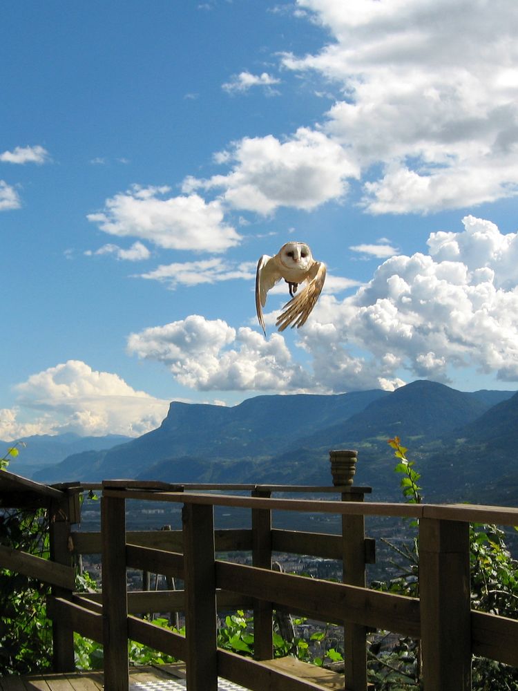 Photograph by Евгений