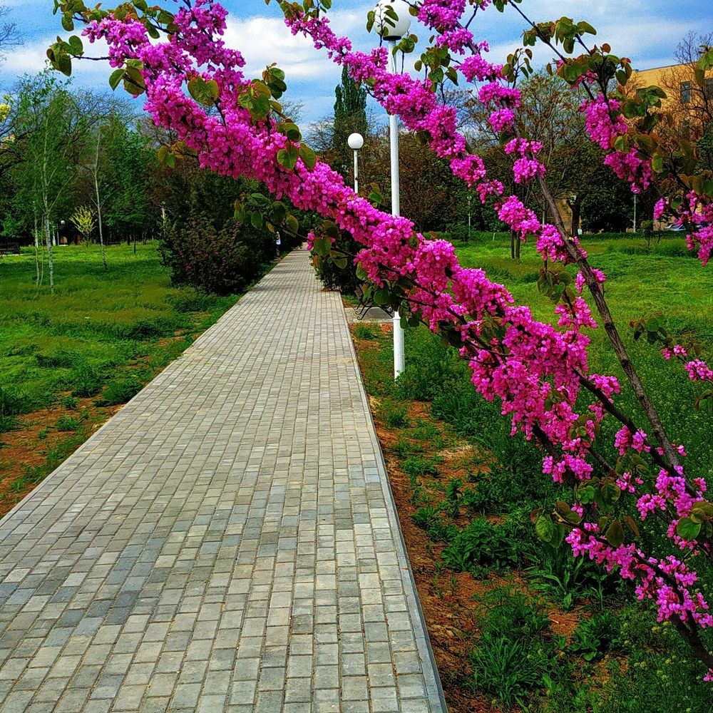 Фотография автора Сергей Зиньковский