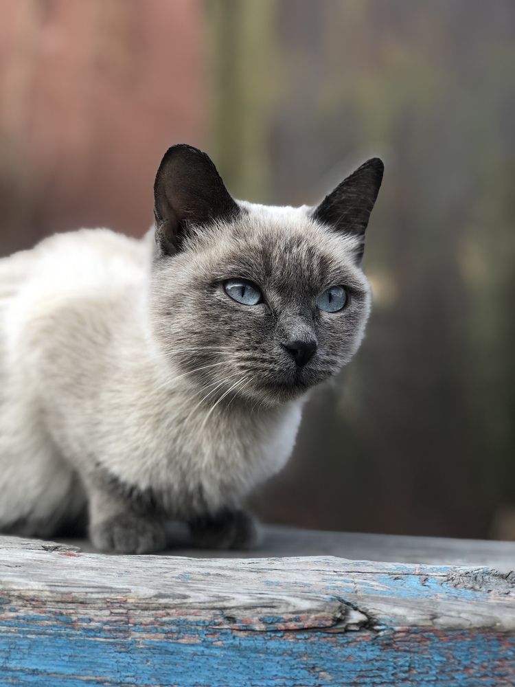 Photograph by Ирина Маркина