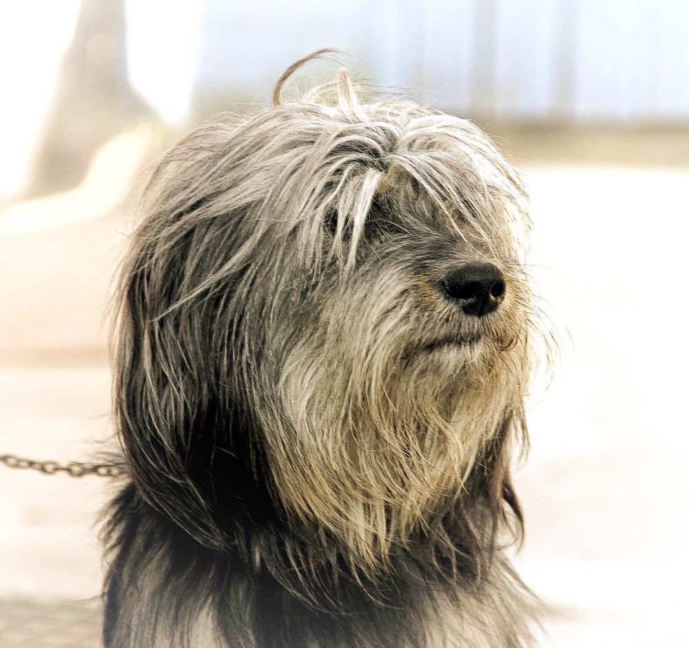 Photograph by ANASTASIYA CHEMAKINA