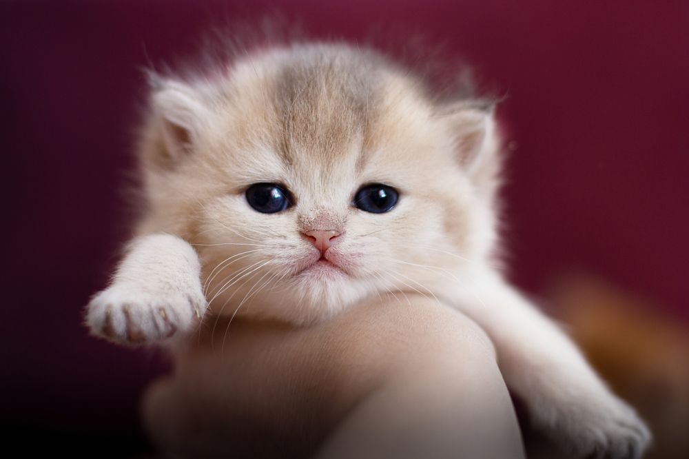 Photograph by Любовь Конева