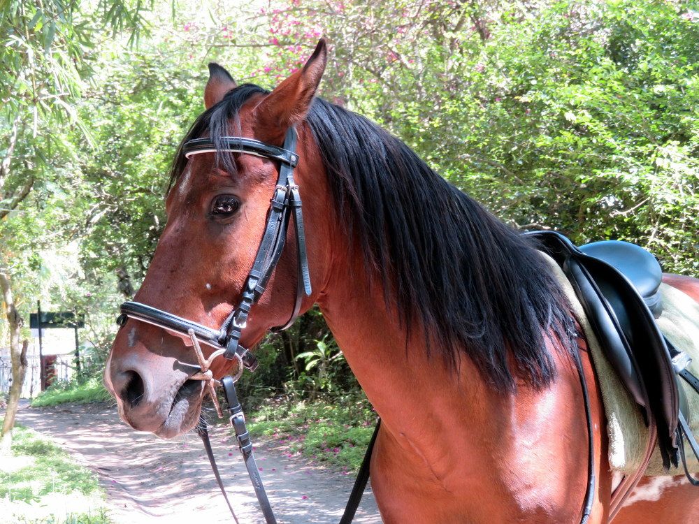 Photograph by Susmita Paul