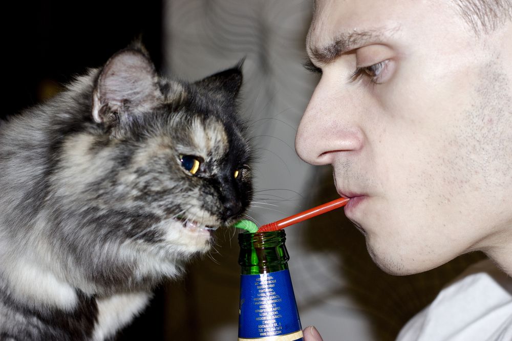 Photograph by ANASTASIYA CHEMAKINA