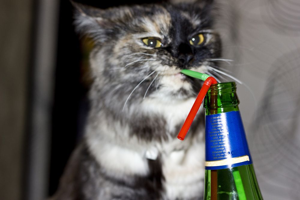 Photograph by ANASTASIYA CHEMAKINA