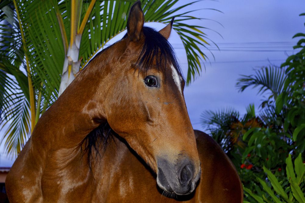 Фотография автора Yako Laverde