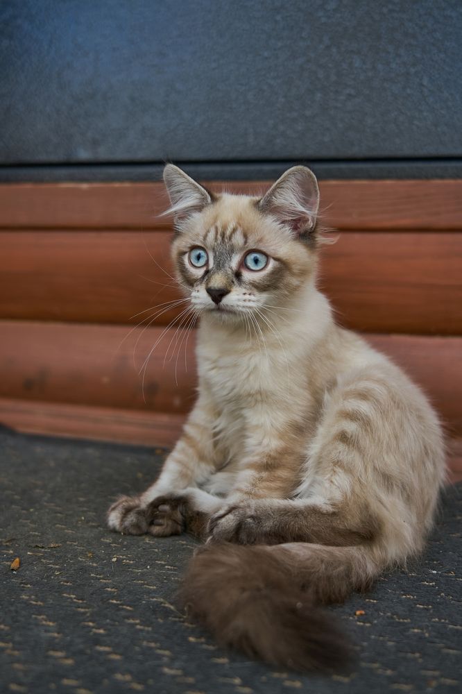 Photograph by Yuliya Khramova