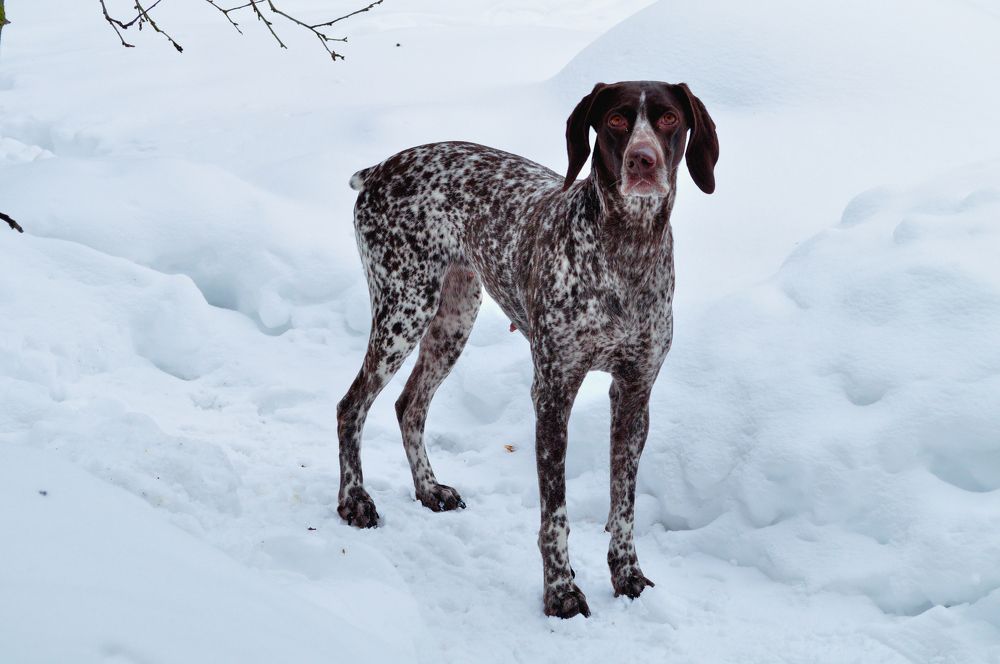 Photograph by Евгений