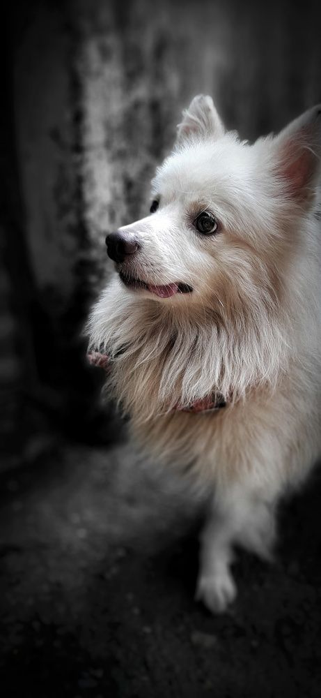 Photograph by Swagato bauri