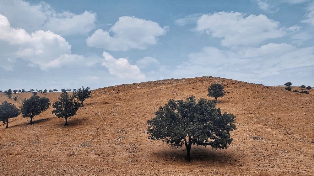 Photograph by Masoumeh Mahmoudi