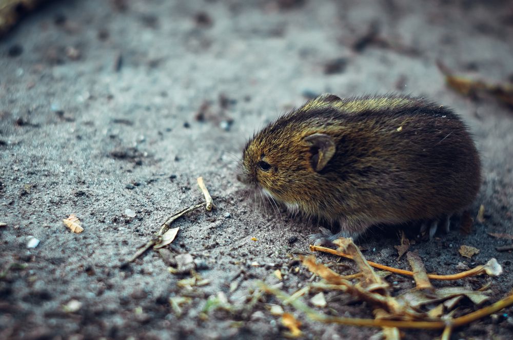 Photograph by Богдан Прохоренко