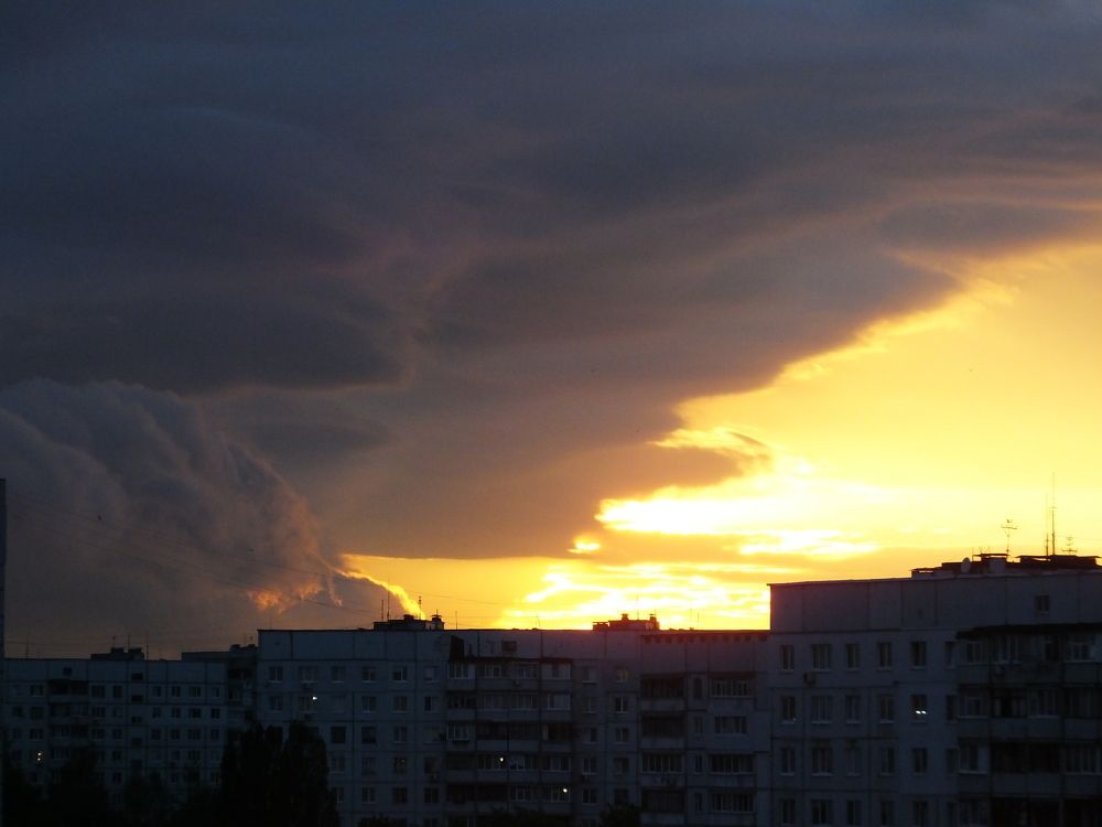 Photograph by Oksana