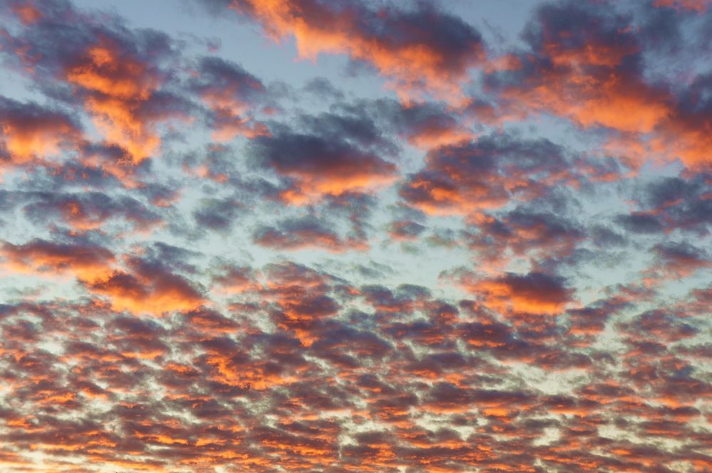 Photograph by Евгений Устинов