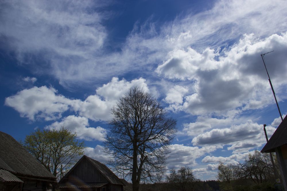 Photograph by Анна-Лаймуте Милошевич