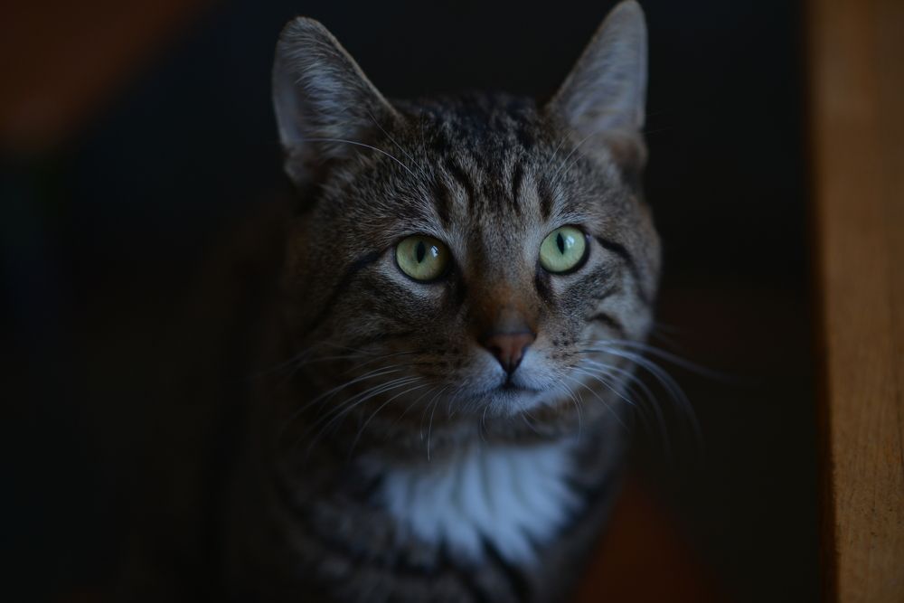 Photograph by Ольга Темкина