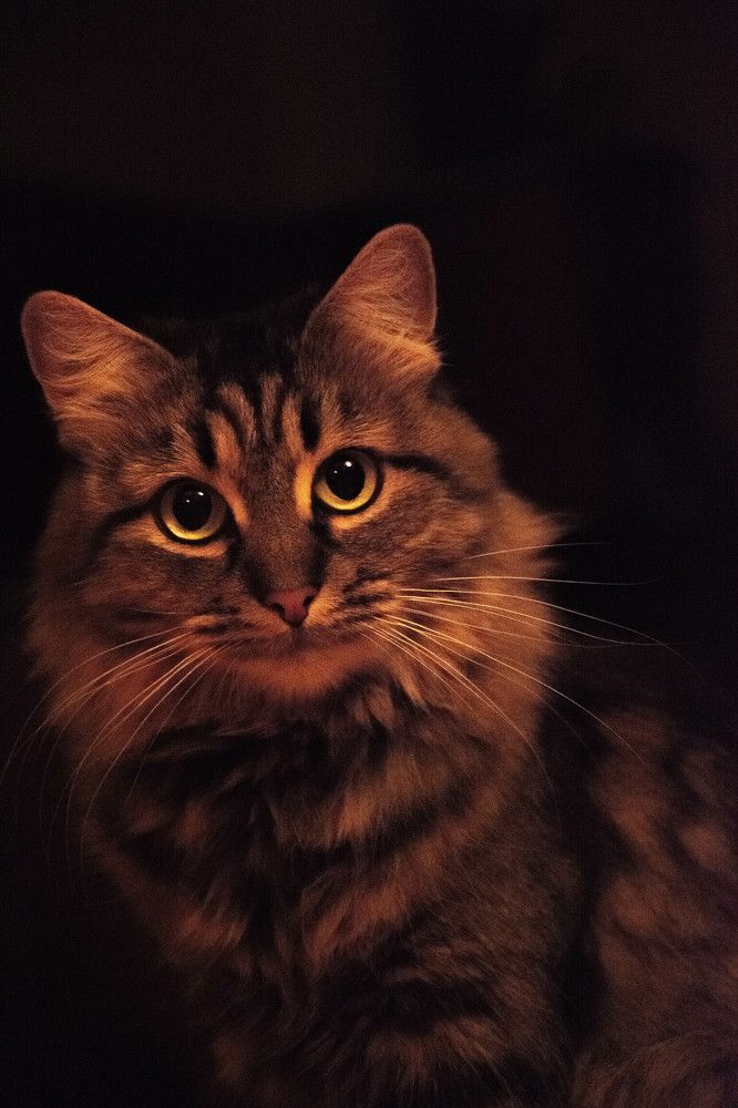 Photograph by Виктор Степанов