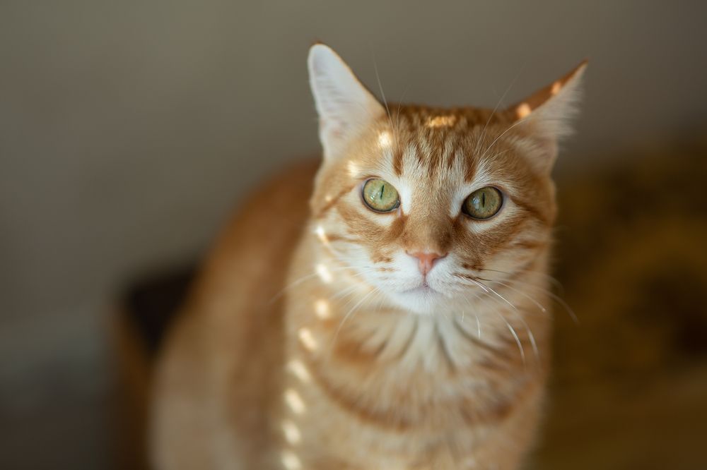 Photograph by Евгений Пивкин