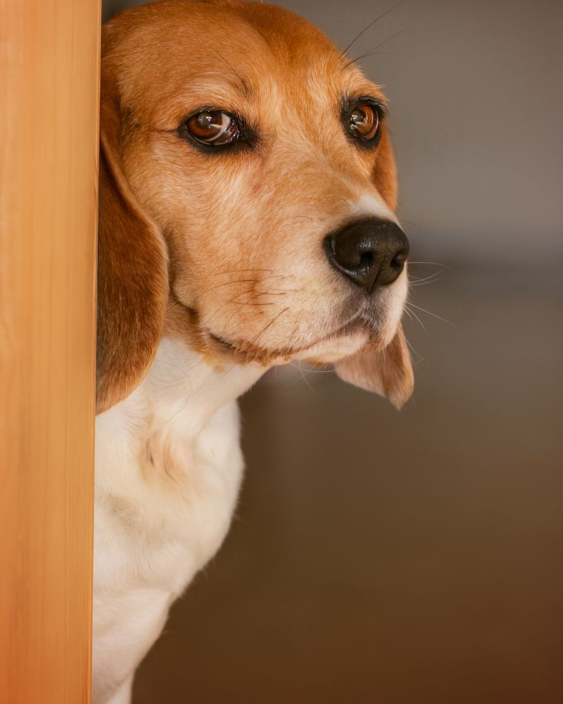 Photograph by Anna Sindikayeva