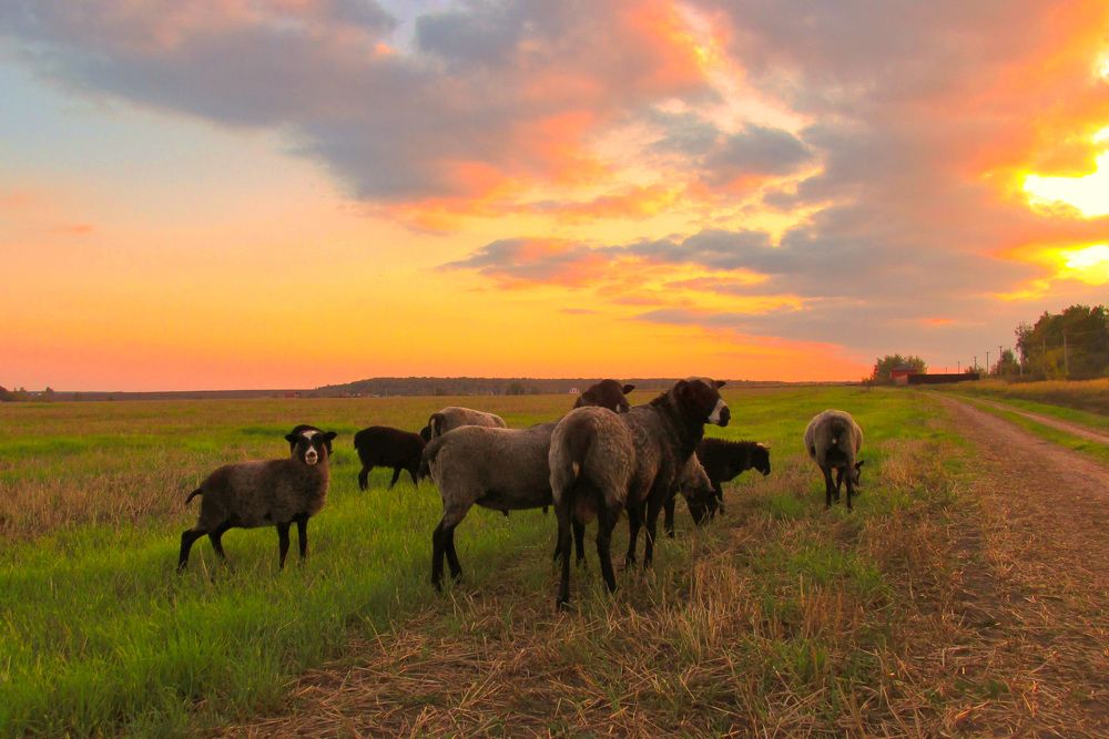 Photograph by Светлана Кондрашова