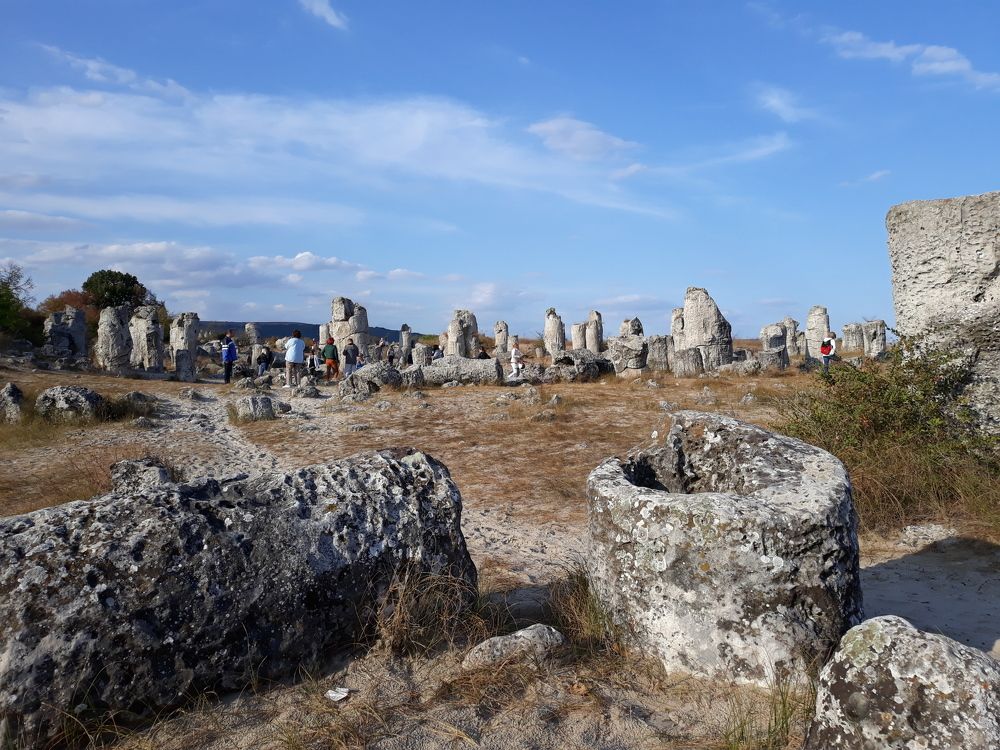 Photograph by Владимир Носов