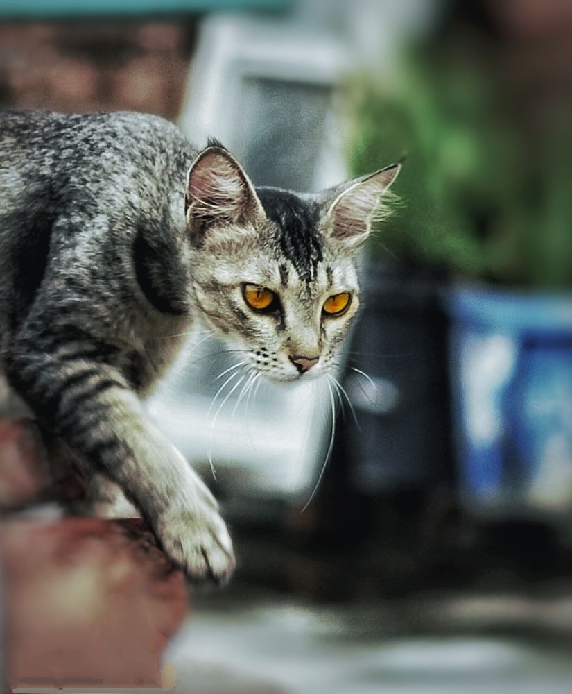 Photograph by El Magrabe Tarek