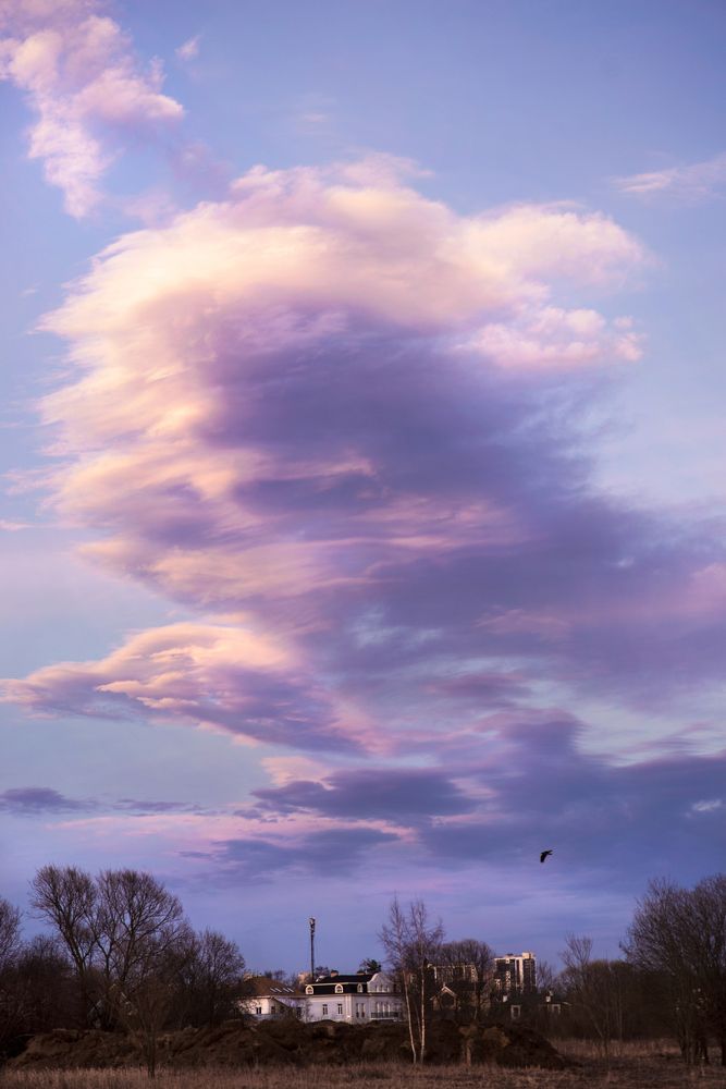 Photograph by Юлия Яровая